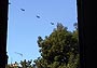 sky piece